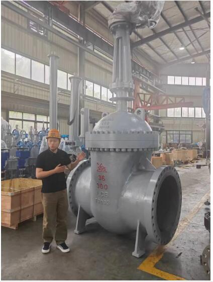 行走閥門江湖數(shù)十載！挺宇流體智能化新工廠預(yù)計(jì)2026年10月投入使用，開啟文化傳播新篇章